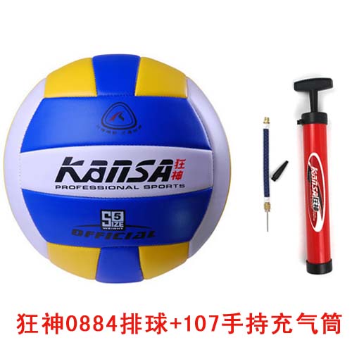 Ballon de volley-ball - Ref 2010387 Image 1