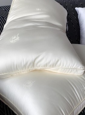 Comfort Feather Silk Pillow Slow Rebound Soy Fiber Pillow 枕