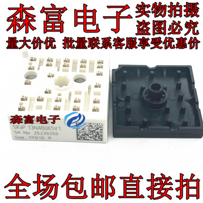 全新原装 SKIIP13NAB065V1  GBT模块 13A 600V 质量保证 测试好