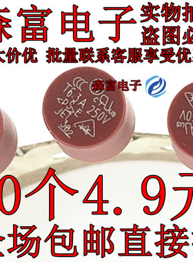 T2.5A 1A 4A 250V 6.3A 插脚保险丝管 常用液晶电视电脑电源主板