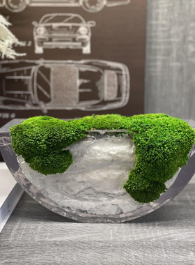 现代轻奢创意微景观永生苔藓绿植样板间售楼处客厅茶几装饰品花艺