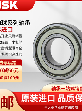 NSK高速日本进口轴承6044 6048 6052 6056 6060 6064 6068 6072 E