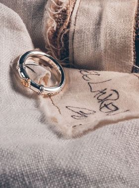 日本制正品点金ARIZONAFREEDOM