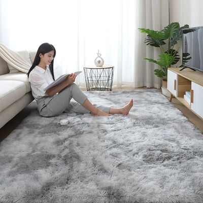 Fluffy Large Carpet Living Room Plush Lounge Rug in The Bedr