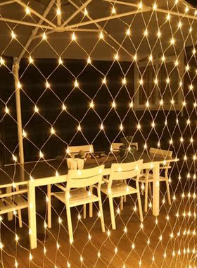 Net LED String Lights 220V 110V EU/US Plug 1.5x1.5m 3X2M 4Mx
