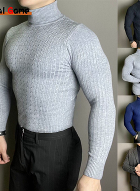 Winter Turtleneck Warm Sweater Casual Men's Rollneck Knitted