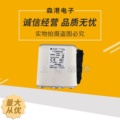 方体快速熔断器保险丝170M6548 1100V 1000A