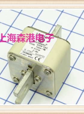 保险丝170M5011熔芯