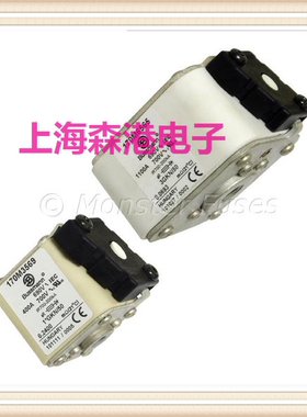 熔断器熔芯保险丝170M3569