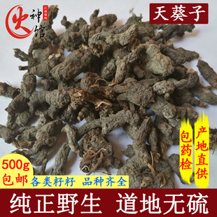 湖北天葵子紫背天葵天葵根 天葵草 千年老鼠屎 金耗子屎500g包邮