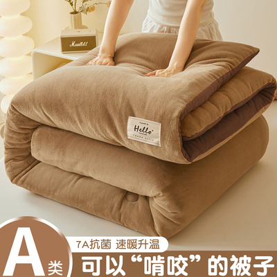 2025新款牛奶绒被子冬被冬季加厚