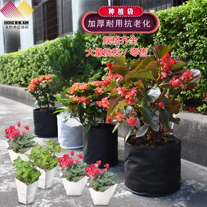 无纺布环保加厚耐用透水种植种树育苗袋美植营养袋种树袋厂家直销