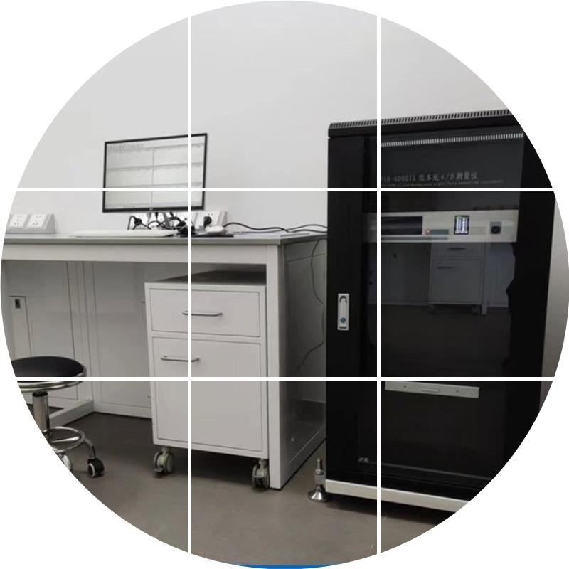 现货现货PAB-6000 二通道低本底测量仪 水质放射性探测器