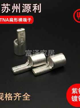 源利扁型裸端子PTNB/TNA5.5-4 TNA8/14/22/38 棒形紫铜牌端头片