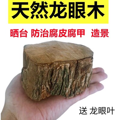 乌龟缸免煮专用天然龙眼木休息台爬坡晒台造景沉木悬浮爬坡躲避台
