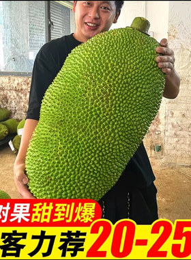 海南三亚黄肉干苞菠萝蜜新鲜采摘水果一整个包邮批发官方旗舰店