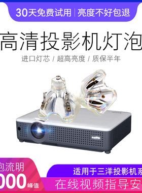 海田适用于 三洋PLC-XW6600CA PLC-XW6000C PLC-XW6605C PLC-XU8850C PLC-XC560C PLC-XC550C投影机灯泡