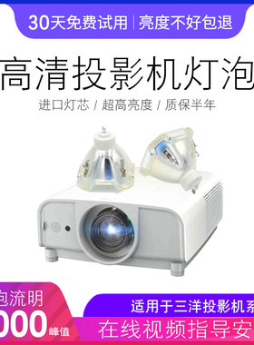 海田适用于SANYO三洋 PLC-XP1000/PLC-XF4700/PLC-XF47/XC3600/XT3200/XT3800/XP46C/XP50/XP55投影机灯泡