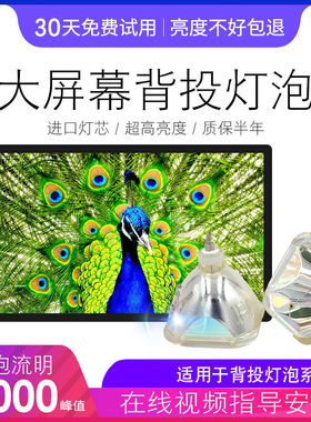 海田适用于JVC 背投电视 HD-Z56RG7/HD-Z61RF7/HD-Z70RF7灯泡