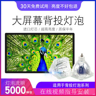 海田适用于PHILIPS UHP132/120W 1.0背投灯泡UHP120/132W 1.0 E22