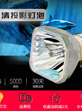 原装富可视EN37L EN38L EN55LEST EB65LEST EB18L IN215+ IN217+ IN235ST IN237ST IN241UST投影机仪灯泡