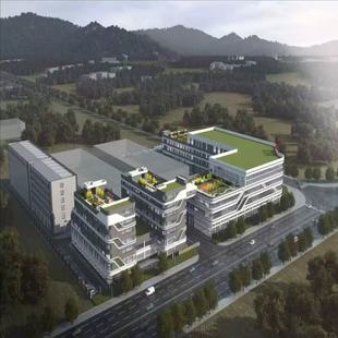 子KQP0961W KOLPING女士机织裤 CC家CC