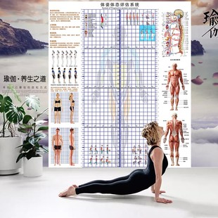 异常姿势调整评估表中医诊疗正骨脊柱侧弯测量图高低肩体态背景墙
