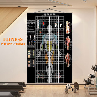 JF130CM体态评估图普拉提健身房体态评估表格120姿势体测评估系统