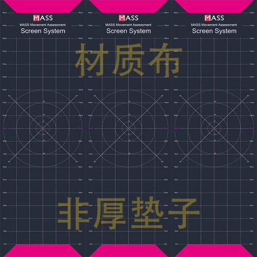 动作质量评估表地垫私教运动康复