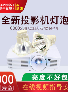 丽讯投影机灯泡D732MX D740MX  D930TX  D935EX  D941VX  D945VX  VIP280W 1.0 E20.6投影仪灯泡