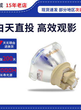 集大成适用于NEC日电CA4160X CA4200W CA4200U CA4260X CA4300X  CA4300U  CA4305X  CA4355X 投影仪机灯泡