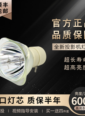 Acer宏基投影仪灯泡D510/D600/D600D/D610D/D620D/AS301/AX313/AX316/E130D/H5382BDH7531D EV-S13H X1130P