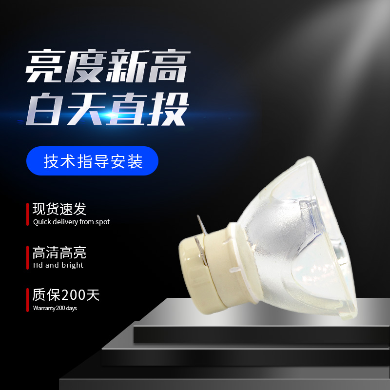 集大成适用于NEC投影机灯泡