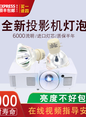 lnfocus/富可视IN1501 IN1503 IN146 IN3194 DS228HDx投影机灯泡