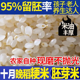 东北特级正宗晚粳米胚芽米宝宝专用辅食香圆粒米油煮粥未抛光大米