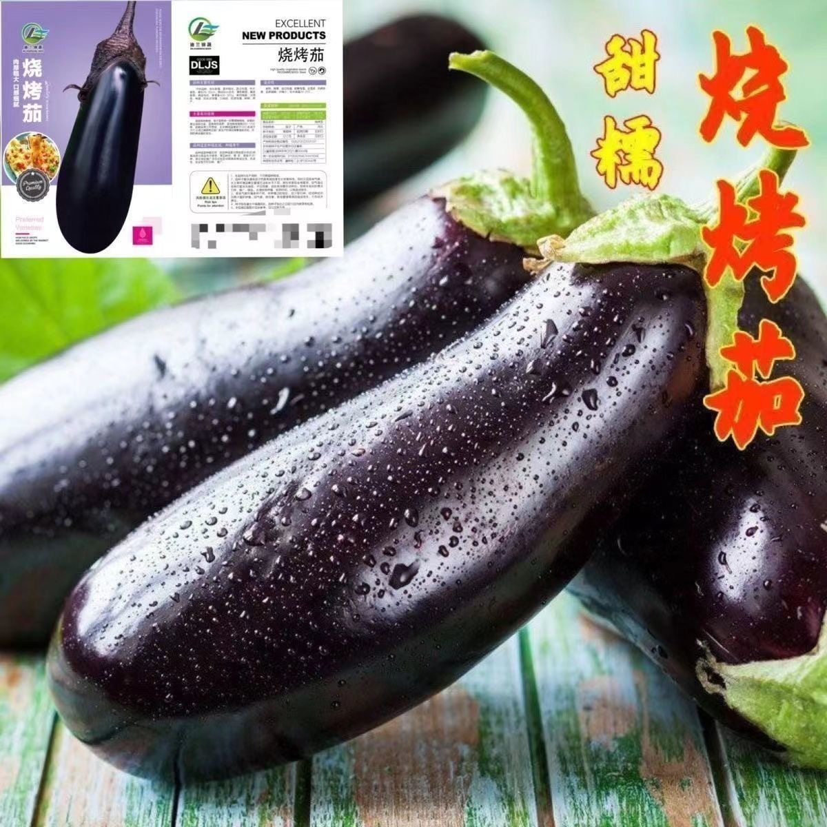 烧烤茄种子黑皮粗棒紫黑墨黑长茄种子烧烤茄子大田抗病高产种子