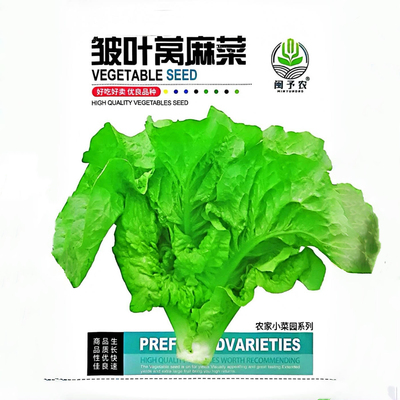 皱叶莴麻菜种子四季秋冬季蔬菜种子圆形鸡窝菜香圆叶油麦菜鸡菜