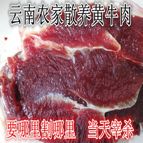 拍4斤包邮　云南黄牛肉500克农家散养新鲜生牛肉腱子牛腩腿牛排肉