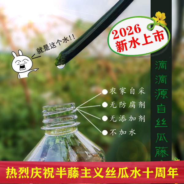 农家自采丝瓜水2026年新水0添加丝瓜藤原液纯天然爽肤水补水简装