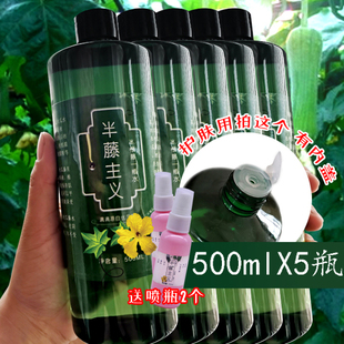 500mlX5瓶丝瓜水农家丝瓜藤原液护肤装 配合压缩面膜用送2喷雾