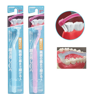 日本制弯颈小头正畸牙刷矫正器牙套专用后槽大牙齿缝隙清洁牙缝刷