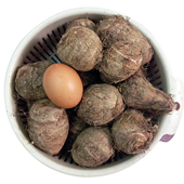 山东烟台海阳大芋头2025年新鲜丘陵山地种植粉糯香甜5斤 包邮