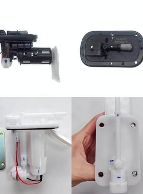 电喷大地鹰王DD150E-2D/250E-9D/400B/250E-5D/400E-9D燃油汽油泵