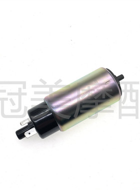 适用雅马哈摩托车ZR50 EVO2 BWS50汽油泵 燃油泵芯 马达电机
