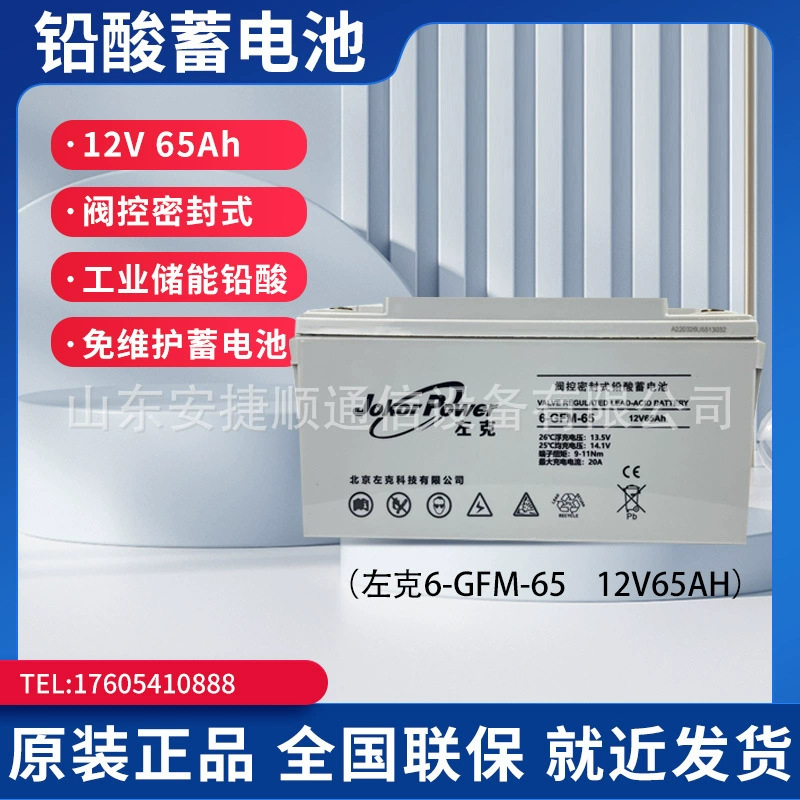 12V65AH免维护铅酸蓄电池左克6-