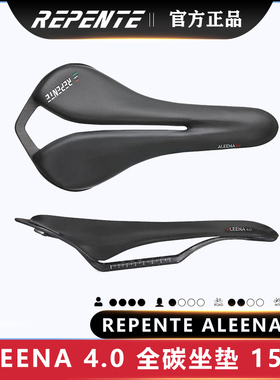 REPENTE ALEENA 4.0意大利进口全碳纤维山地车公路车超轻座垫通用