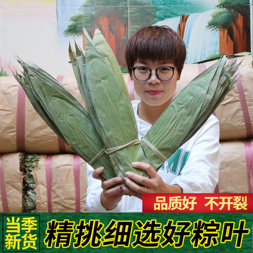 干粽叶大号粽叶新货宽棕叶包粽子竹叶特大粽子叶箬竹叶大码