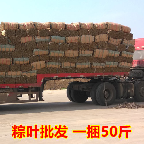 野生干粽叶整捆粽叶竹叶统货大捆