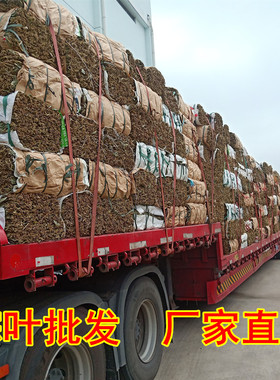 粽子叶野生干粽叶整捆粽叶50斤免邮大号新货麻竹棕叶大捆商用