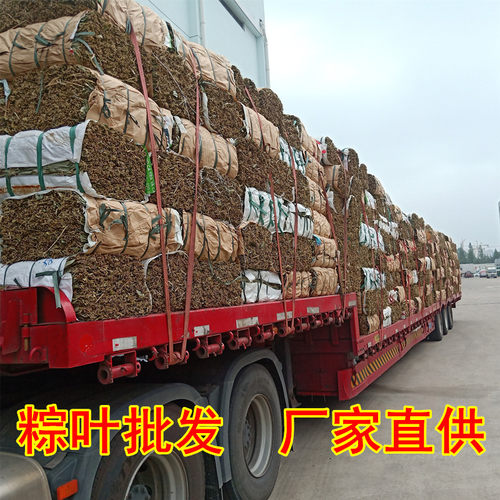 新货干粽叶整捆粽叶大捆商用